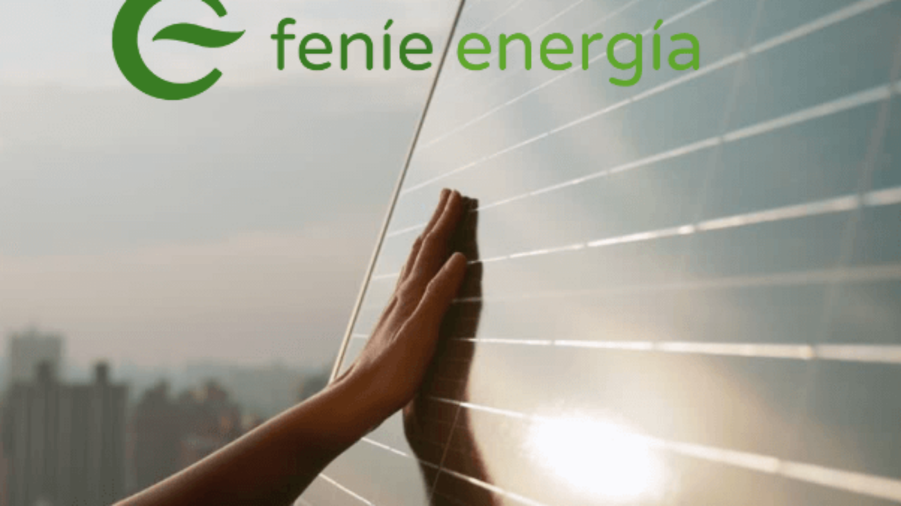 feni energía